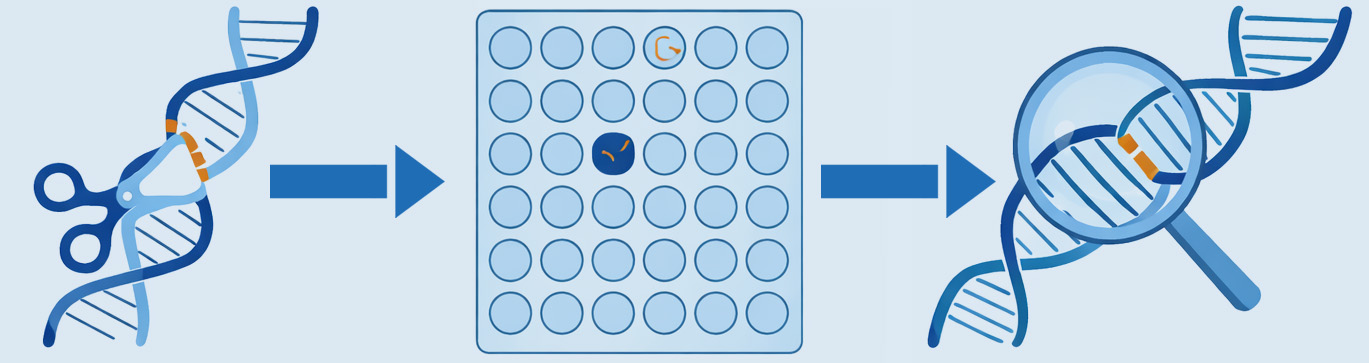 CRISPR-Tech-Data-ABS
